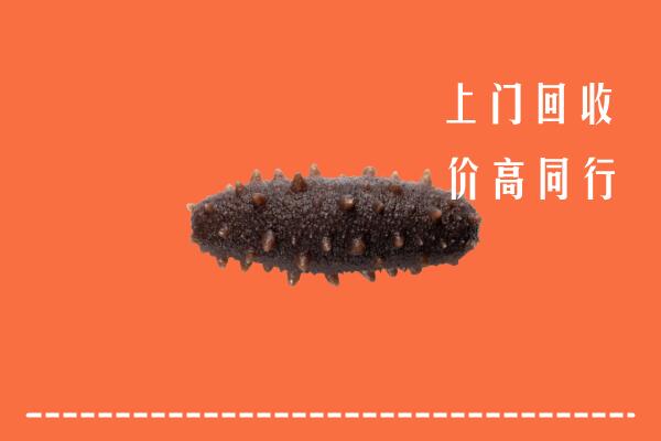 高价求购：长沙回收海参
